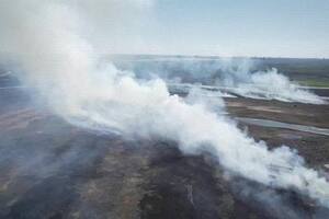 Los humedales ocupan 600.000 km2 de nuestro territorio