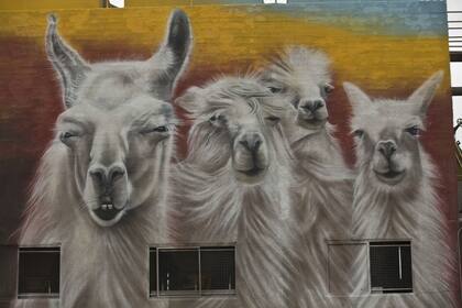 Los impactantes murales del Puerto Arenero