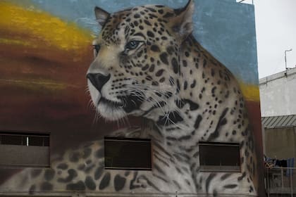 Los impactantes murales del Puerto Arenero