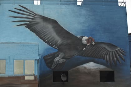 Los impactantes murales del Puerto Arenero