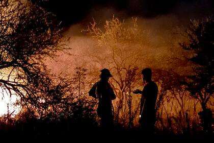 Los incendios amenazan a la biodiversidad de los Esteros