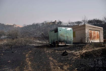 Los incendios arrasaron ayer zonas de la localidad de El Trapiche, en San Luis