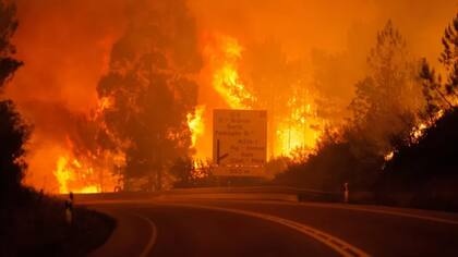 Los incendios de 2017 en Portugal dejaron 66 muertos