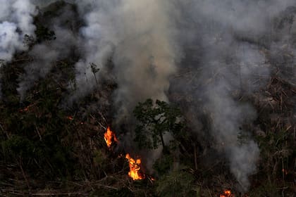 Los incendios de este año en la Amazonia generaron la alarma internacional
