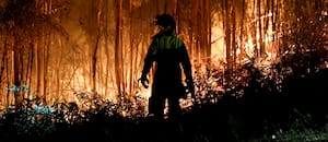 Incendios forestales en Chile: ya son 21 los muertos y hay 800 casas destruidas