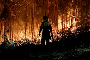 Incendios forestales en Chile: ya son 21 los muertos y hay 800 casas destruidas