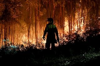 Incendios forestales en Chile: ya son 21 los muertos y hay 800 casas destruidas