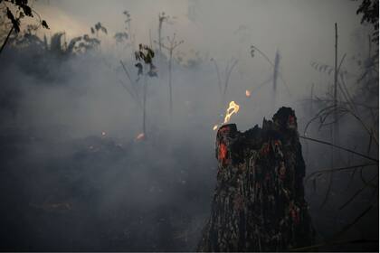 Los incendios en los alrededores de Porto Velho