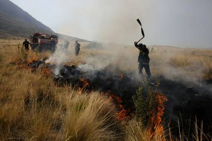 Cientos de bomberos trabajan para combatir los incendios