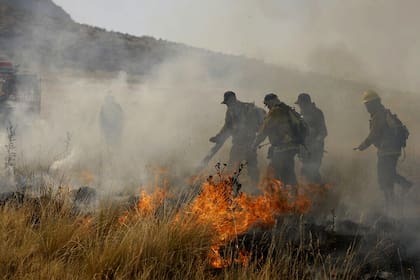 Los bomberos trabajan en equipo y combaten las llamas
