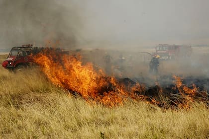 Algunos focos alcanzan alturas de consideración