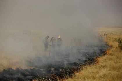 Aún no se registraron pérdidas de ganado, los productores llevaron a los animales a lugares apartados
