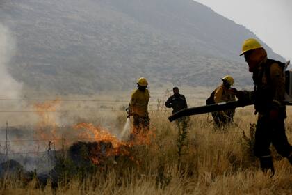 Los bomberos trabajan incansablemente para que el fuego no se propague