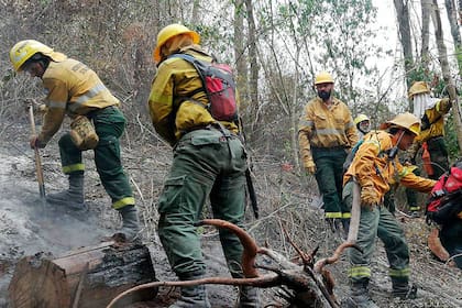 Los incendios forestales en Jujuy ya afectaro más de 15 mil hectáreas
