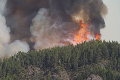 Los incendios forestales podrían persistir en Florida hasta agsoto