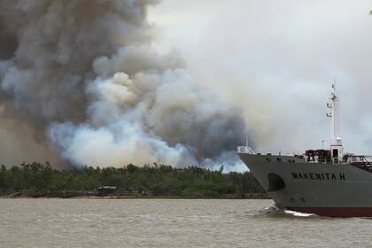 Los incendios frente a la ciudad de Ramallo, en la Provincia de Buenos Aires