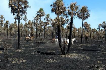 Los incendios han afectado buena parte de la provincia de Formosa