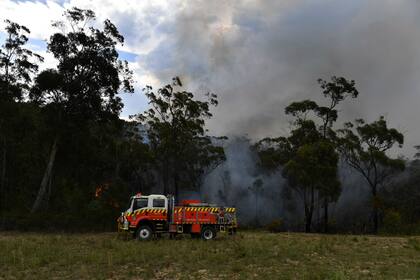 Los incendios forestales generan humo tóxico