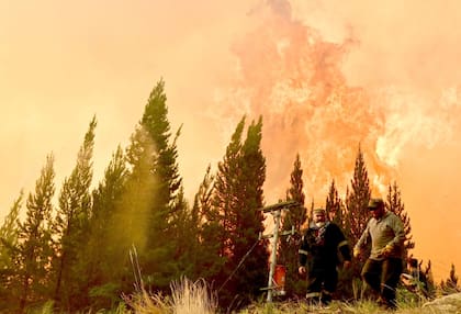 Los incendios también tienen un impacto en la economía de la zona
