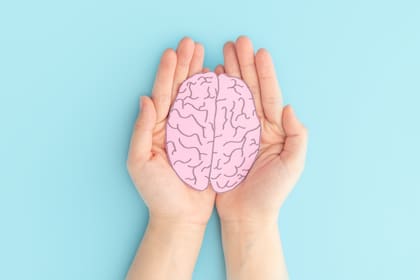 Los individuos que lograron reducir su grasa visceral mostraron una conservación significativa del volumen cerebral