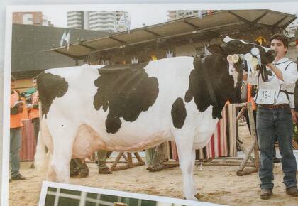 Los inicios de García en la Exposición Rural de Palermo