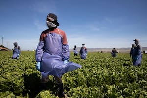 Los inmigrantes indocumentados pagaron más de US$96.000 millones en impuestos federales, estatales y locales en 2022