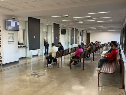 Los inmigrantes podrán tramitar pasaporte, matrícula y credencial para votar (Instagram/@consulmexhouston)