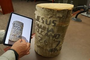 Cómo llegó a los bosques de EE.UU. la lengua más antigua de Europa