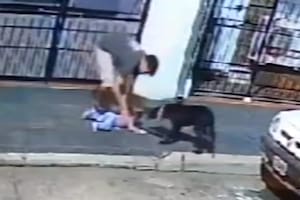 Un padre le dio una brutal golpiza a la perra de la familia por hacer tropezar accidentalmente a su hija
