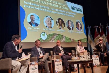 Los integrantes de la Mesa de Enlace durante el panel