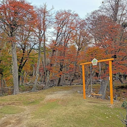Los intensos colores del bosque en el inicio de la caminata a Laguna Verde