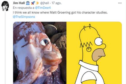 Los internautas compartieron la imagen del calamar gigante y algunos bromearon con sus similitudes con Homero Simpson. Twitter @Jhall