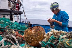 Las especies que han colonizado la gigantesca “isla” de plástico que flota en el Pacífico