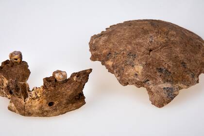 Los investigadores creen que el tipo de Homo de Nesher Ramla es la población "fuente" a partir de la cual se desarrollaron la mayoría de los humanos del Pleistoceno Medio