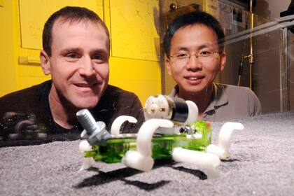 Los investigadores Daniel Goldman y Chen Li observan el desplazamiento de su creación