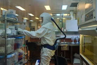 Hantavirus: secuencian el genoma completo de la cepa del brote de Epuyén