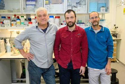 Los investigadores del proyecto (Foto: Instituto de Ciencias Weizmann)