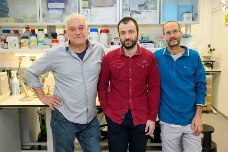 El secreto de los bigotes de los ratones que puede transformar la robótica y la neurociencia