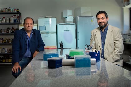 Los investigadores Guillermo Docena y Omar Azzaroni