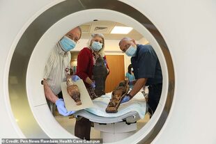 Los investigadores junto a las dos momias antes de una tomografía computarizada para averiguar si contienen restos humanos