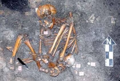 Los investigadores obtendrán ADN de huesos hallados en distintos momentos de los últimos 500 años