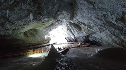 Los investigadores realizaron la investigación en un lugar de mucha importancia biológica (Foto: gentileza Paun VI)