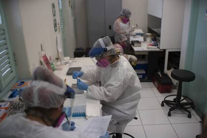 Los investigadores trabajan en un laboratorio estatal del Instituto Fiocruz en el parque estatal Pedra Branca, cerca de Río de Janeiro