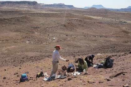 Los investigadores trabajaron en una zona protegida en Namibia