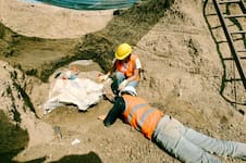 En medio de una obra pública, hallaron el esqueleto completo de un perezoso gigante en Mar del Plata