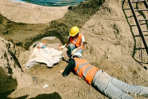 En medio de una obra pública, hallaron el esqueleto completo de un perezoso gigante en Mar del Plata