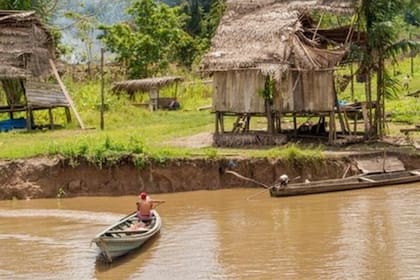 Los investigadores tuvieron que trasladar a los indígenas desde sus remotas aldeas hasta la ciudad más cercana en un viaje que duró hasta dos días completos a través de ríos y carreteras