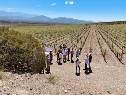 Los invitados fueron recibidos con un tinto de verano para refrescarse