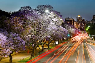 Vivencias y emociones que siente una argentina que vive en el exterior al regresar de visita al país