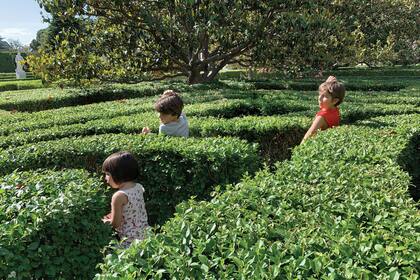 Los jardines con laberintos vegetales frente al palacio son ideales para descargar energía.